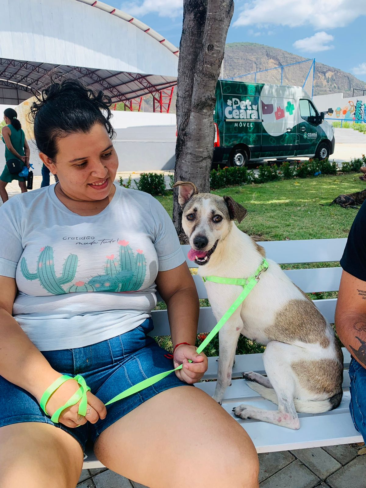 Pet Ceará Móvel leva castração gratuita a Ubajara e Ibiapina; agendamento já está disponível