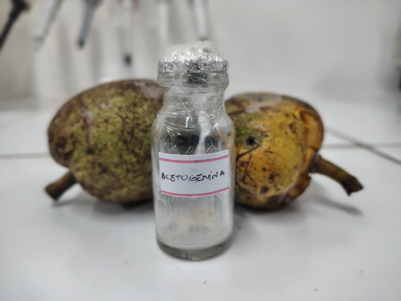 Química Verde: Uece recebe patente pela invenção de larvicida natural contra Aedes aegypti e Aedes albopictus