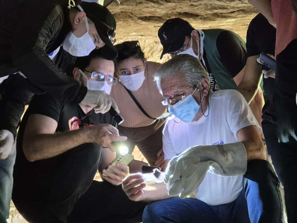 Profissionais da Região Norte são capacitados pela ESP/CE para o controle da raiva em animais silvestres