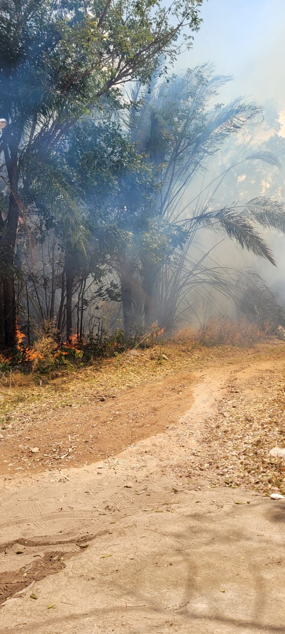 Ação da PMCE e do ICMBio resulta na prisão de homem suspeito de incêndio criminoso no entorno da Floresta Nacional do Araripe