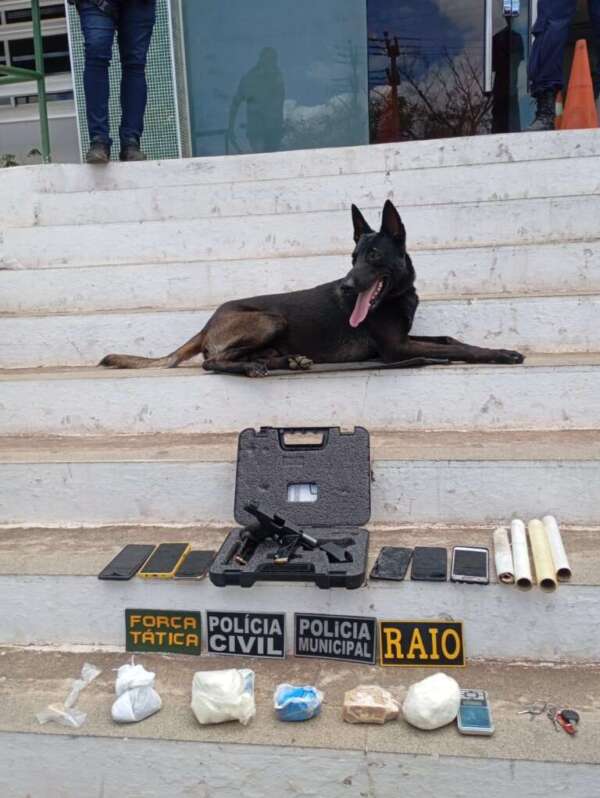 Ação conjunta no Crato resulta na prisão de dois homens por tráfico de drogas e porte ilegal de arma de fogo