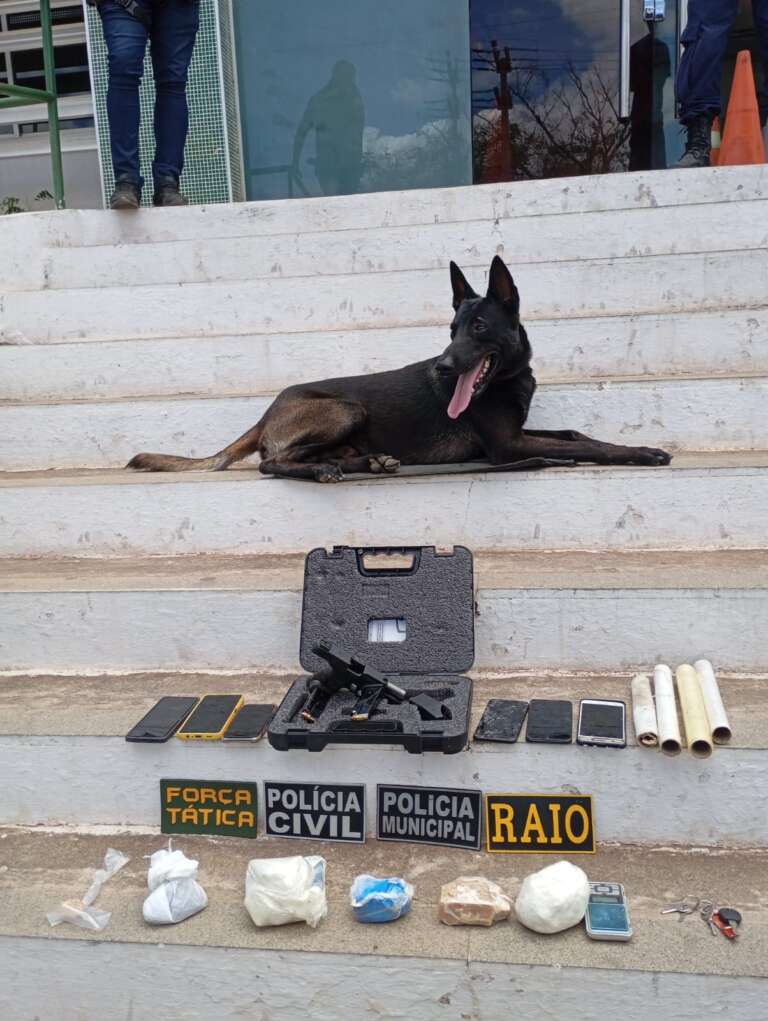 Ação conjunta no Crato resulta na prisão de dois homens por tráfico de drogas e porte ilegal de arma de fogo