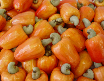 Ceasa-CE participa do Festival do Caju e do Mel em Ocara