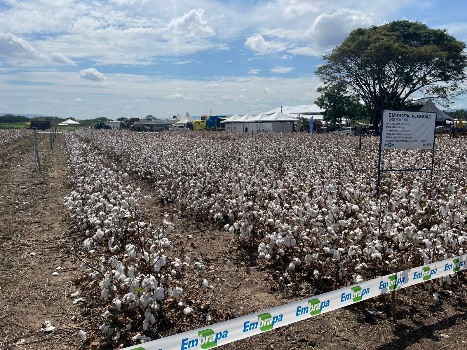 SDE e vinculadas promovem agronegócio cearense na Expo Cariri com foco em novas culturas