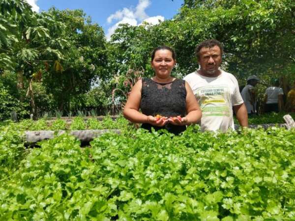 Fedaf: inscrições de edital de R$ 5 milhões são prorrogadas até 22 de outubro