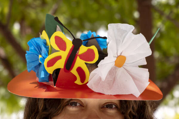 Dia das Crianças é celebrado na Pinacoteca do Ceará com atividades para toda a família