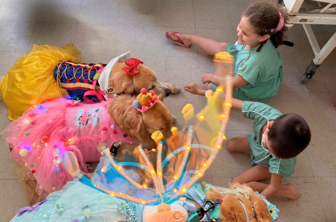 Pet Terapia: cachorrinhas fantasiadas visitam crianças internadas no Hospital Geral Dr. Waldemar Alcântara