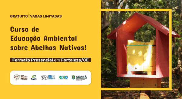 Curso gratuito ensina sobre abelhas nativas da Mata Atlântica em Fortaleza