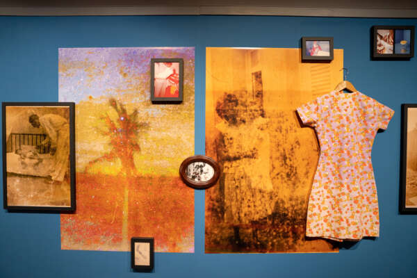 Museu da Imagem e do Som recebe Fórum Estadual de Museus, shows e lançamento de livro com roda de conversa