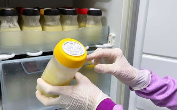 Rede Sesa recebe doação de leite humano em bancos e postos de coleta em todo no Ceará