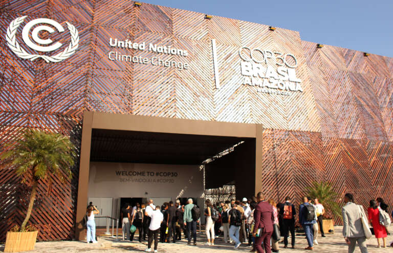 Conheça a programação da Sema na COP 30 e acompanhe os painéis online