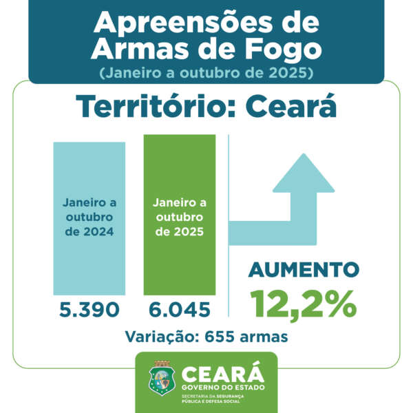 Forças de Segurança apreenderam mais de 6 mil armas de fogo em 10 meses, no Ceará