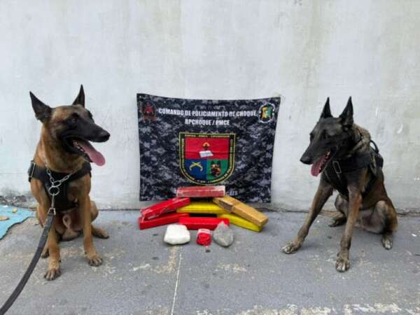 PMCE cumpre mandado de prisão e apreende mais de 6 kg de drogas durante operação em Sobral