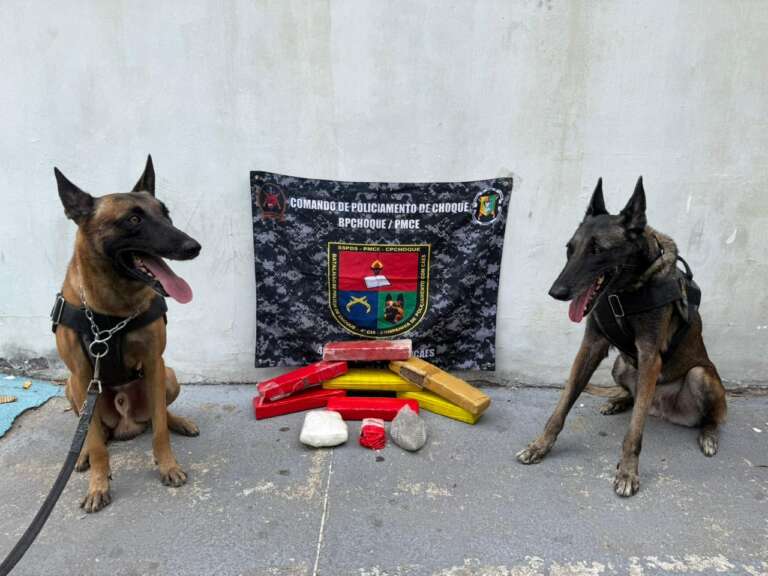 PMCE cumpre mandado de prisão e apreende mais de 6 kg de drogas durante operação em Sobral