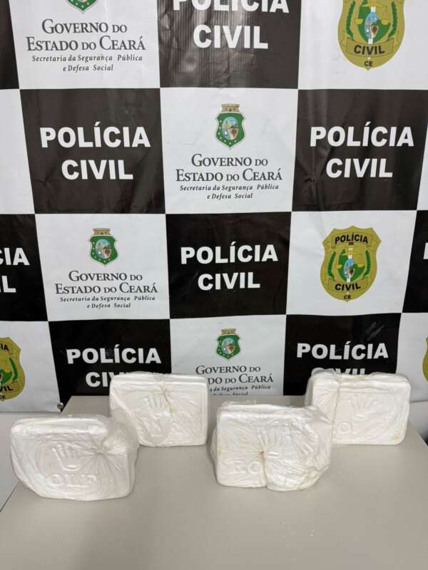 Polícia Civil prende mulher com quase quatro quilos de drogas em Nova Olinda