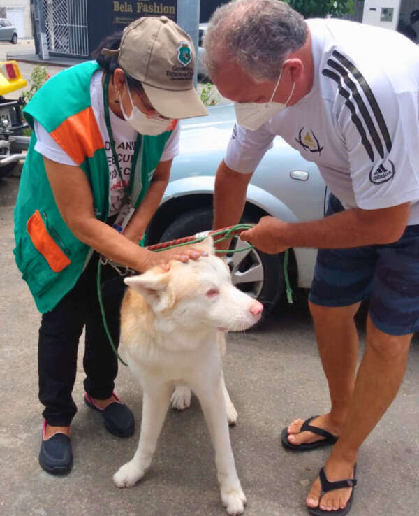 Campanha de vacinação contra raiva em cães e gatos segue até 22 de dezembro em todo o Ceará; Dia D ocorre neste sábado (8)