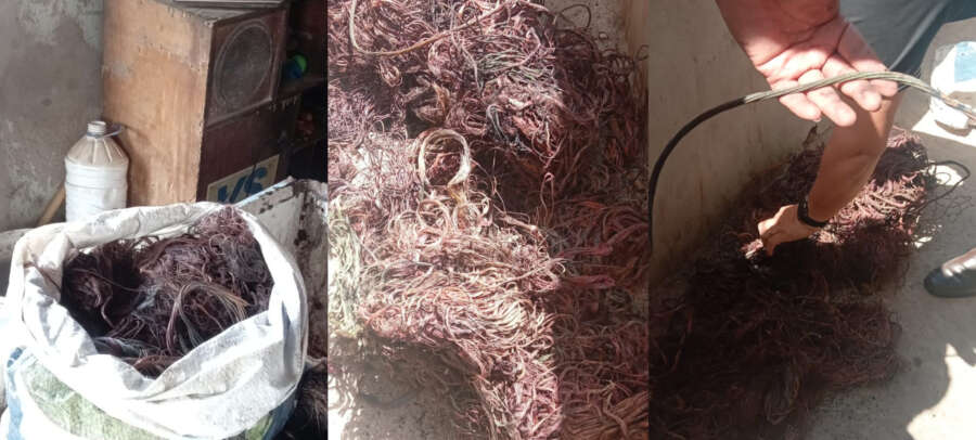 Operação Celari prende um homem, apreende 49 kg de fios e resgata 33 aves em Itapipoca