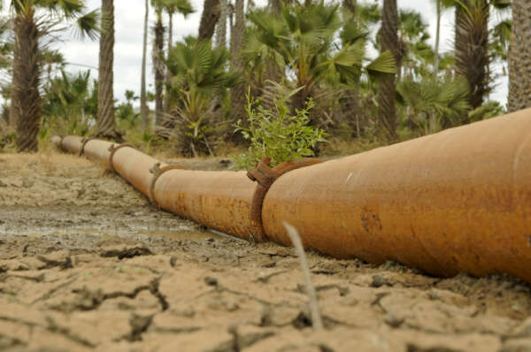 Cagece desenvolve plano proativo de gestão de secas e coloca o Ceará na vanguarda nacional