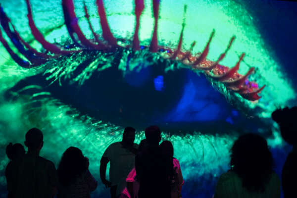 Museu da Imagem e do Som promove mostra de artistas cearenses que atuam com arte e tecnologia