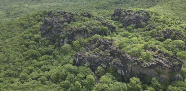 Governo do Estado cria cinco novas unidades de conservação na Caatinga cearense