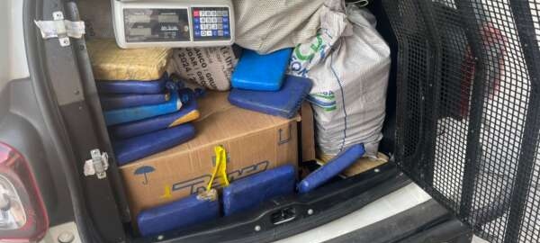 PMCE apreende mais de 144 kg de droga e prende suspeito no bairro Damas