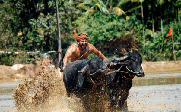 Festival do BRICS, pré-estreia especial e Seminário de Acessibilidade movimentam o Cinema do Dragão
