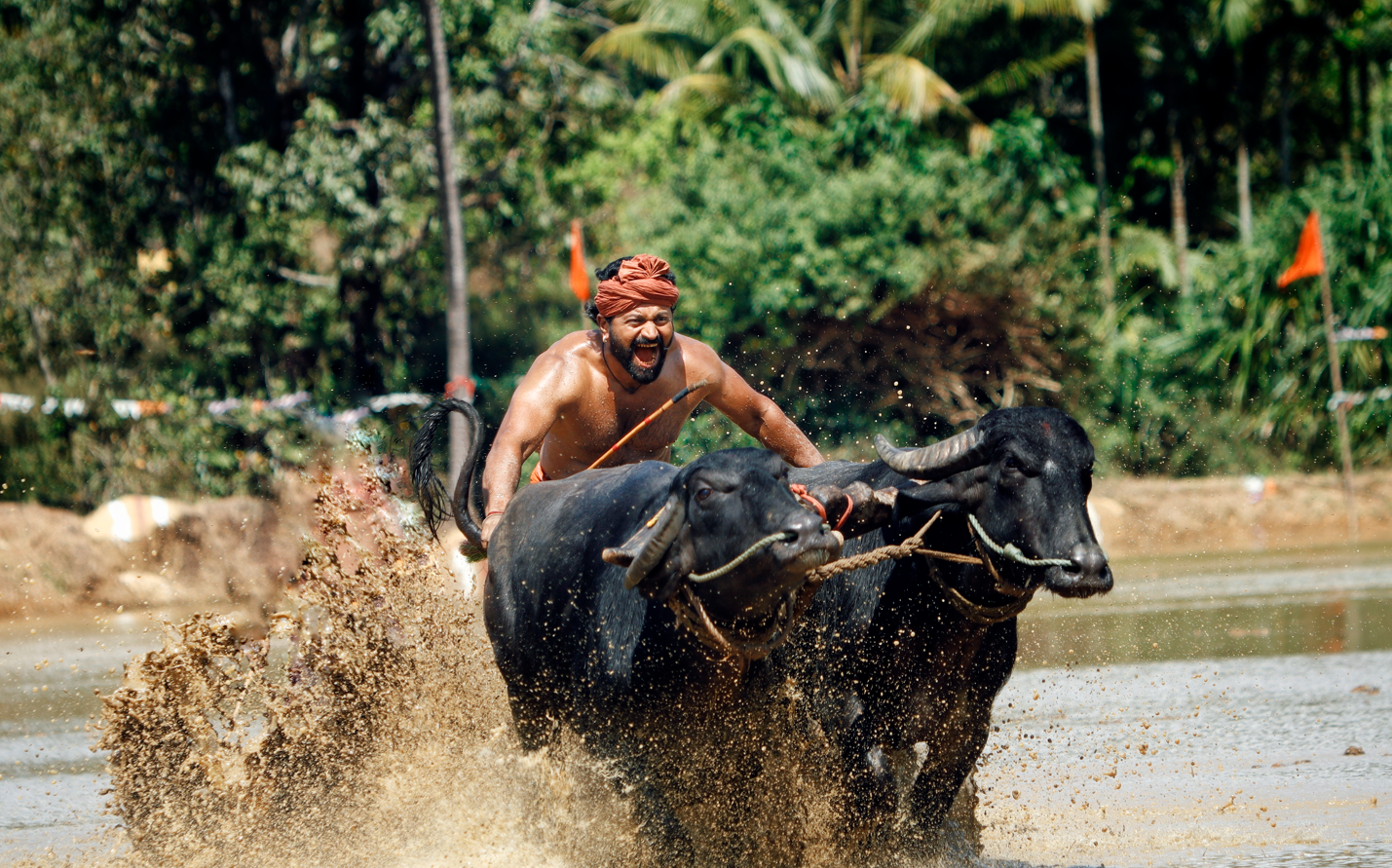 Festival do BRICS, pré-estreia especial e Seminário de Acessibilidade movimentam o Cinema do Dragão
