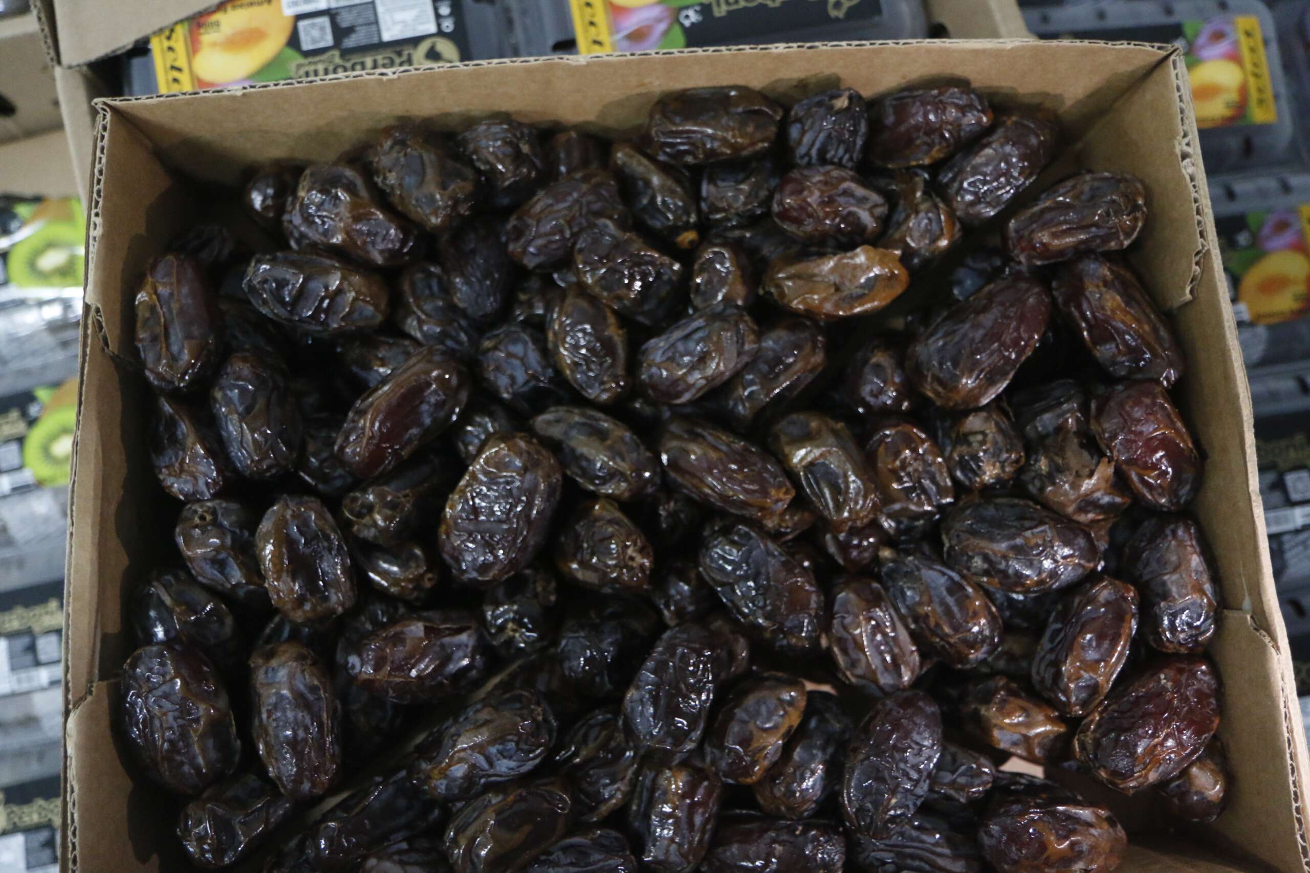 Tâmara: o fruto nutritivo que ganha destaque nas festas de fim de ano