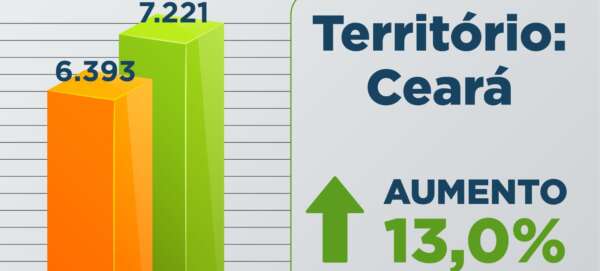 Forças de Segurança do Ceará apreendem 7.221 armas em 2025; são cerca de 20 armas confiscadas por dia