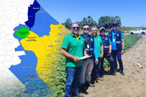 Ceará amplia Área Livre da praga Anastrepha grandis e fortalece exportações de melão e melancia