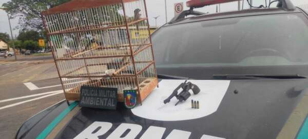 PMCE resgata aves silvestres e apreende arma de fogo em Juazeiro do Norte