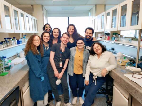 Pesquisa da Uece e da USP traz nova explicação sobre ação de medicamentos usados no diabetes e ganha destaque