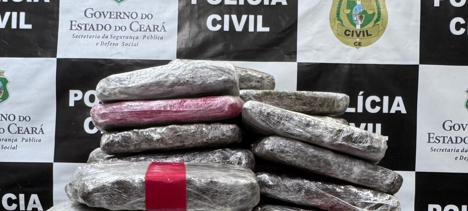 PCCE apreende 49 kg de maconha do tipo skunk em imóvel no Eusébio