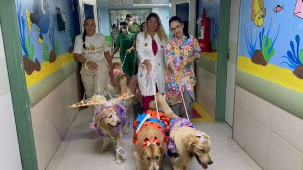 Ação carnavalesca de humanização leva visita de cachorrinhas fantasiadas ao Hospital Geral Dr. Waldemar Alcântara