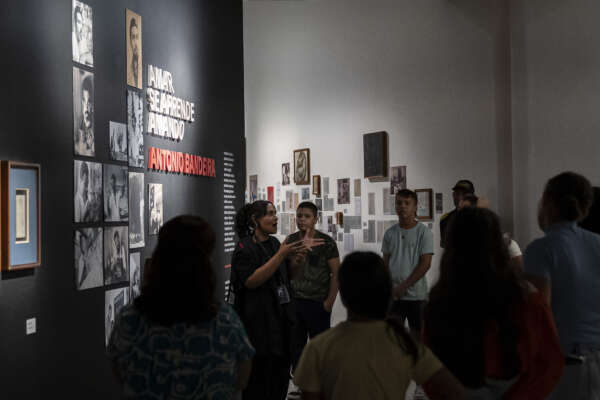 Oficina temática de carnaval, Conversa de Ateliê e atividade infantil são destaques da semana na Pinacoteca do Ceará
