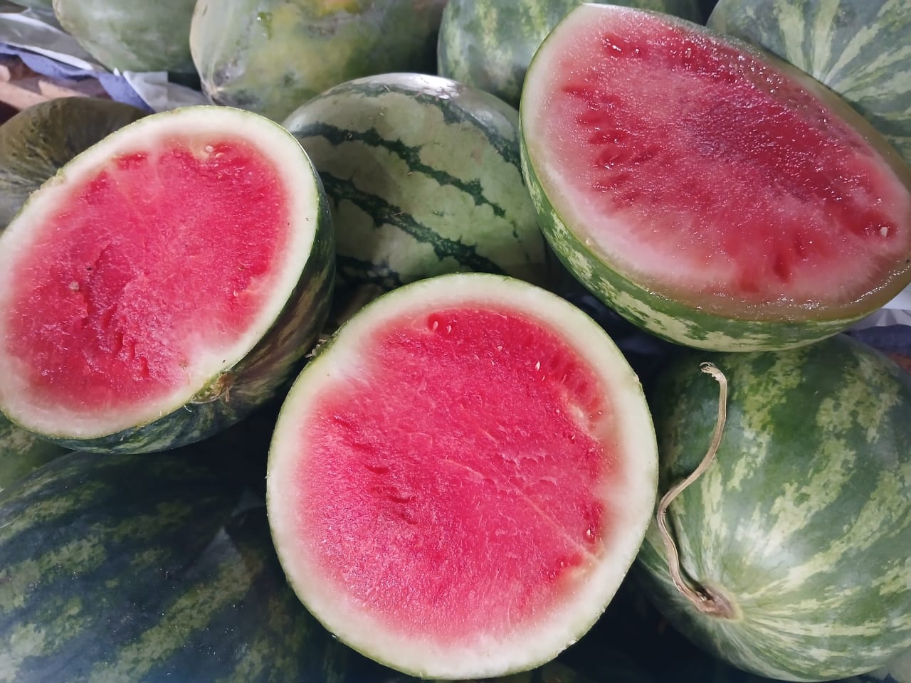 Ceasa-CE dá dicas de alimentos ideais para o consumo durante o carnaval